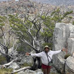 Admiring the cedars